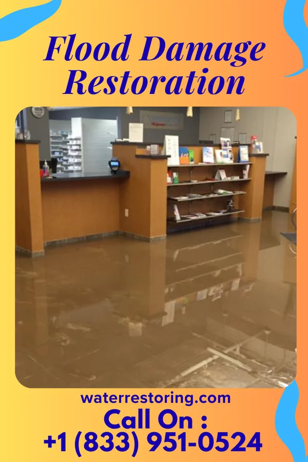 Flood Damage Restoration in Coxton, KY